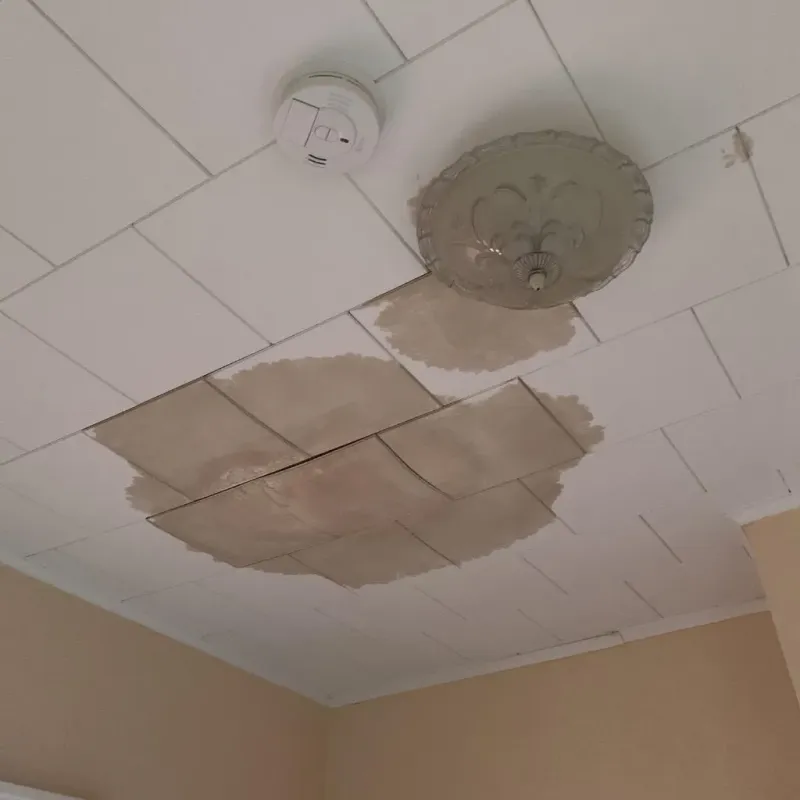 Ceiling Water Damage Repair in Van Buren County, TN