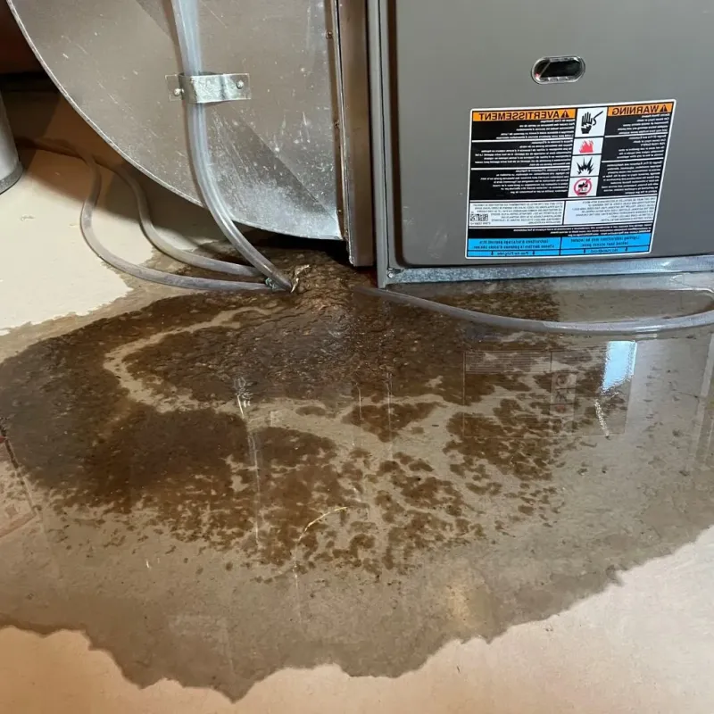 Pipe Burst and Leak Restoration in Van Buren County, TN