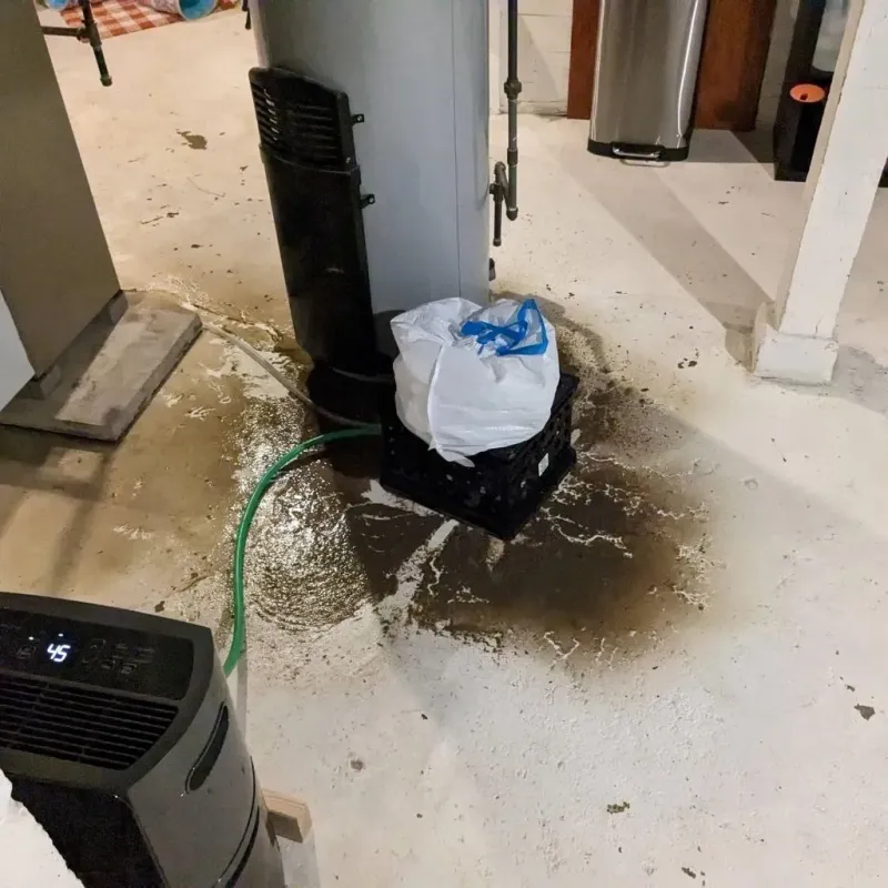 Sewage Backup Cleanup Service in Van Buren County, TN